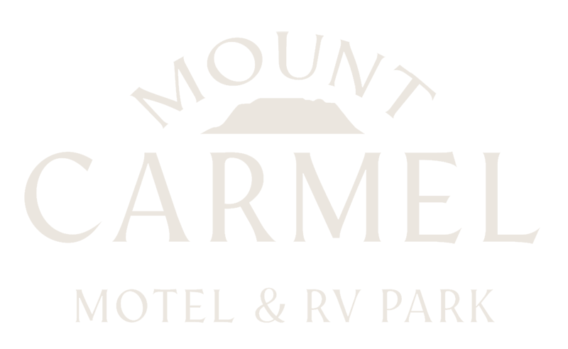 mount-carmel-logo-light